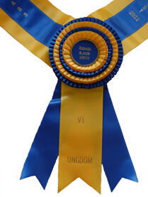 Radstock, tvåfärgat band, 4 kokarder, 140 cm