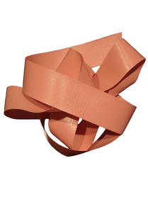 Plastband, ROSA